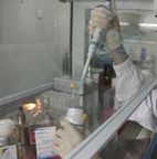 基因测序技术服务 价格解析与优质厂家选择指南